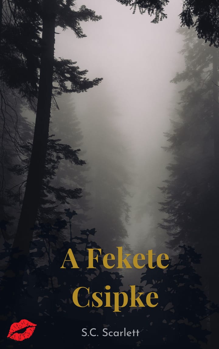 A Fekete Csipke 1. fejezet